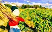 Туры в отель Karina Vineyard House