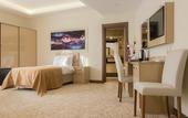 Туры в отель Goldhan Hotel