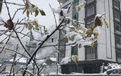 Туры в отель Golden Inn Hotel Uzungol