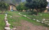 Туры в отель Simurg Evleri Olympos