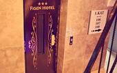 Туры в отель Figen Hotel