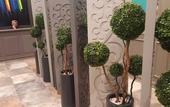 Туры в отель Agora Suites