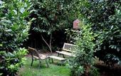Туры в отель Butik Hotel Masukiye