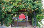 Туры в отель Butik Hotel Masukiye