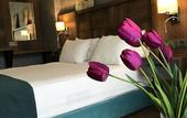 Туры в отель Dedehan Otel