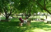Туры в отель Yakamoz Hotel Fethiye