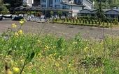 Туры в отель Mare Blu Hotel