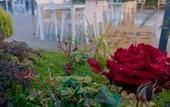 Туры в отель Mare Blu Hotel