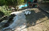 Туры в отель Castle Nolana Hotel & Horse Club