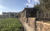 Туры в отель Assos Alis Farm Boutique Hotel & SPA