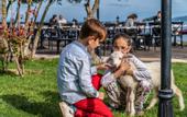 Туры в отель Assos Alis Farm Boutique Hotel & SPA