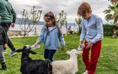 Туры в отель Assos Alis Farm Boutique Hotel & SPA
