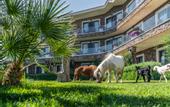 Туры в отель Assos Alis Farm Boutique Hotel & SPA