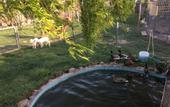 Туры в отель Assos Alis Farm Boutique Hotel & SPA