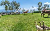 Туры в отель Assos Alis Farm Boutique Hotel & SPA