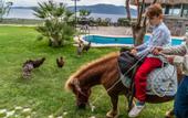 Туры в отель Assos Alis Farm Boutique Hotel & SPA