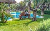 Туры в отель Assos Alis Farm Boutique Hotel & SPA