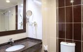 Туры в отель Arya Hotel Business Deluxe