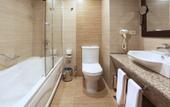Туры в отель Arya Hotel Business Deluxe