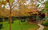 Туры в отель Keyif Boutique Hotel & Restaurant