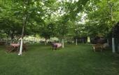 Туры в отель Keyif Boutique Hotel & Restaurant