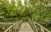 Туры в отель Keyif Boutique Hotel & Restaurant