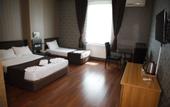 Туры в отель Safir Hotels Silivri