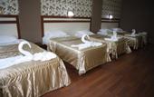 Туры в отель Safir Hotels Silivri
