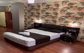 Туры в отель Safir Hotels Silivri