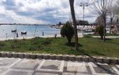 Туры в отель Safir Hotels Silivri