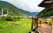 Туры в отель Uzungol Cerrahpasa Suites