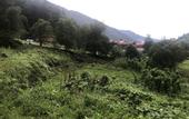 Туры в отель Uzungol Cerrahpasa Suites