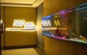 Туры в отель Premier Vista Hotel Silivri