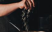 Туры в отель Nayu Igneada