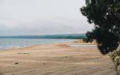 Туры в отель Nayu Igneada