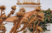Туры в отель Nayu Igneada
