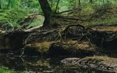 Туры в отель Nayu Igneada