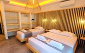 Туры в отель Palamut Butik Otel