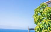 Туры в отель Iotape Hotel Antalya