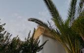 Туры в отель Marla Suite Hotel