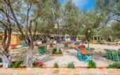 Туры в отель Yesil Vadi Otel
