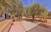 Туры в отель Yesil Vadi Otel