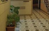 Туры в отель Alis Hotel Fethiye