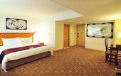 Туры в отель Hotel Sunshine