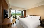 Туры в отель The Westin Tashee Resort Taoyuan