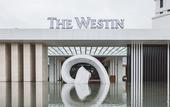 Туры в отель The Westin Tashee Resort Taoyuan