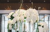 Туры в отель The Westin Tashee Resort Taoyuan