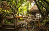 Туры в отель North Island