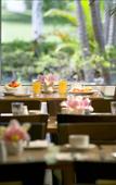 Туры в отель Novotel Atrium Darwin