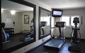 Туры в отель Best Western Plus North Miami/Bal Harbour